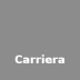 Carriera